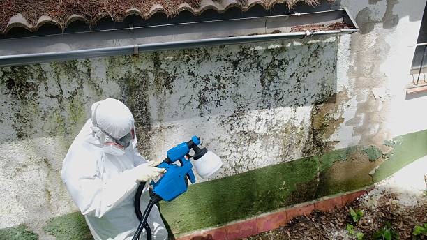 Mold Remediation service in Palmetto, Palmetto, GA